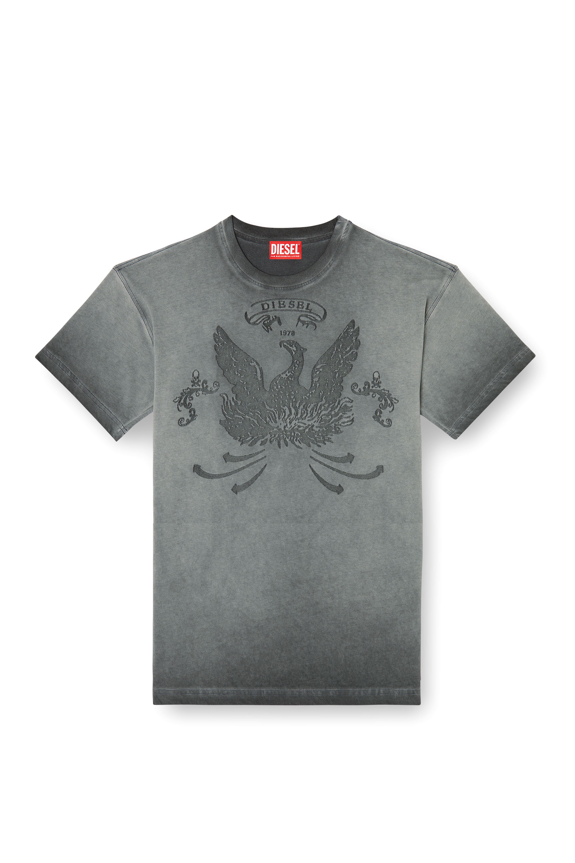 T-NORM-T9, Grey
